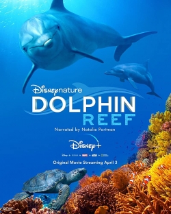 Watch Dolphin Reef Movies Online Free