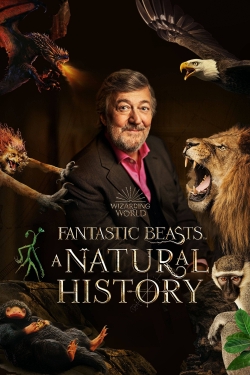 Watch Fantastic Beasts: A Natural History Movies Online Free