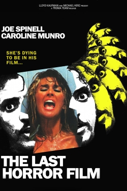 Watch The Last Horror Film Movies Online Free