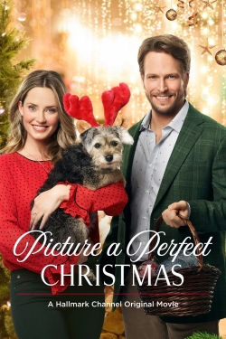 Watch Picture a Perfect Christmas Movies Online Free