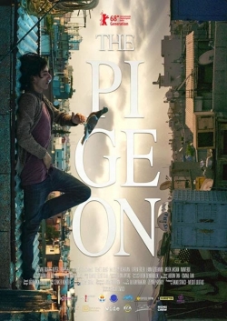 Watch The Pigeon Movies Online Free