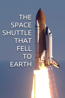 Watch The Space Shuttle That Fell to Earth Movies Online Free