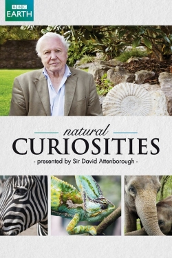 Watch David Attenborough's Natural Curiosities Movies Online Free