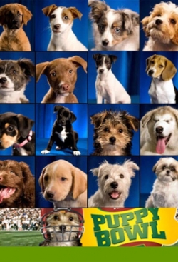 Watch Puppy Bowl Movies Online Free