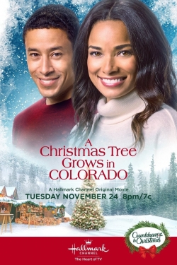 Watch A Christmas Tree Grows in Colorado Movies Online Free