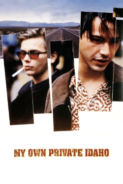 Watch My Own Private Idaho Movies Online Free