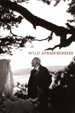 Watch Wild Strawberries Movies Online Free