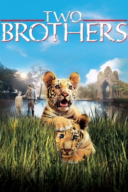 Watch Two Brothers Movies Online Free