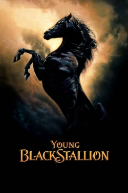 Watch Young Black Stallion Movies Online Free