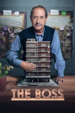 Watch The Boss Movies Online Free