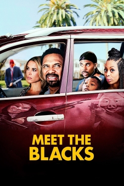 Watch Meet the Blacks Movies Online Free