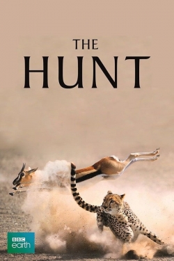 Watch The Hunt Movies Online Free