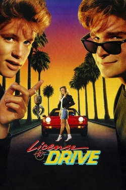 Watch License to Drive Movies Online Free