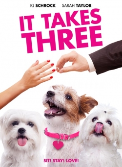 Watch It Takes Three Movies Online Free