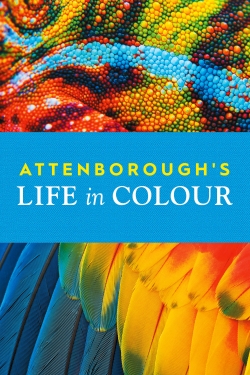 Watch Attenborough's Life in Colour Movies Online Free