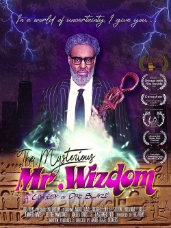 Watch The Mysterious Mr. Wizdom Movies Online Free