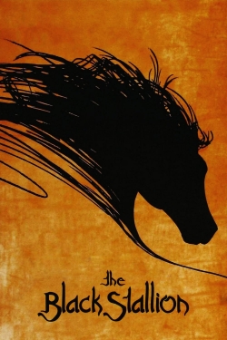 Watch The Black Stallion Movies Online Free