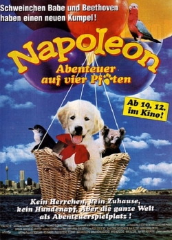 Watch Napoleon Movies Online Free