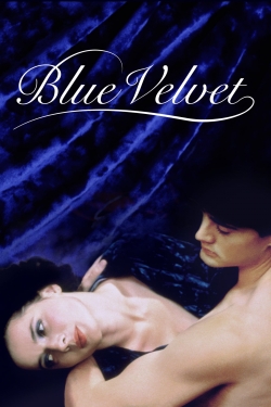 Watch Blue Velvet Movies Online Free