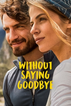 Watch Without Saying Goodbye Movies Online Free