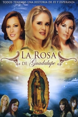 Watch La rosa de Guadalupe Movies Online Free