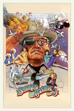 Watch Smokey and the Bandit Part 3 Movies Online Free