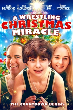 Watch A Wrestling Christmas Miracle Movies Online Free