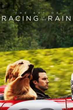 Watch The Art of Racing in the Rain Movies Online Free