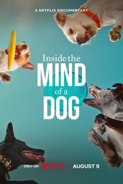 Watch Inside the Mind of a Dog Movies Online Free