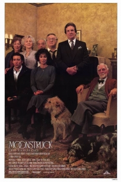 Watch Moonstruck Movies Online Free