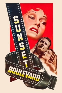 Watch Sunset Boulevard Movies Online Free