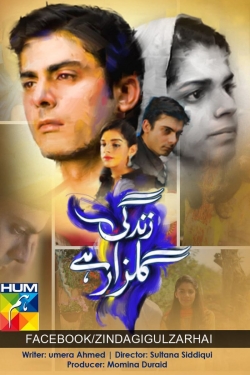 Watch Zindagi Gulzar Hai Movies Online Free