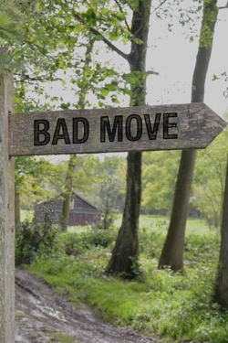 Watch Bad Move Movies Online Free