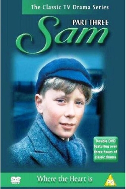 Watch Sam Movies Online Free