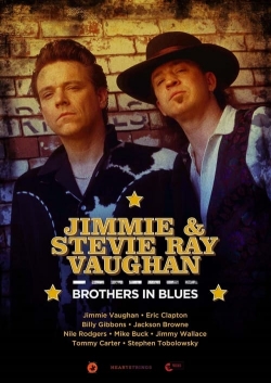 Watch Jimmie & Stevie Ray Vaughan: Brothers in Blues Movies Online Free