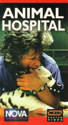 Watch Animal Hospital Movies Online Free