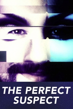 Watch The Perfect Suspect Movies Online Free