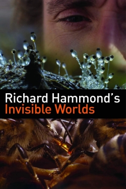 Watch Richard Hammond's Invisible Worlds Movies Online Free