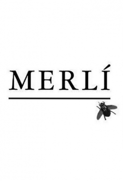 Watch Merlí Movies Online Free