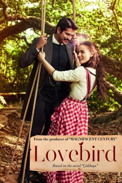 Watch Lovebird Movies Online Free