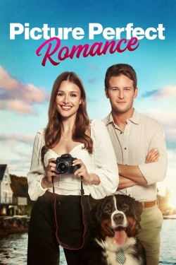 Watch Picture Perfect Romance Movies Online Free