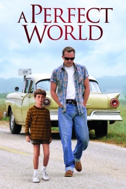 Watch A Perfect World Movies Online Free