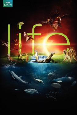 Watch Life Movies Online Free