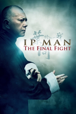 Watch Ip Man: The Final Fight Movies Online Free