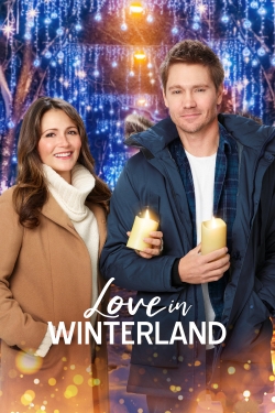 Watch Love in Winterland Movies Online Free