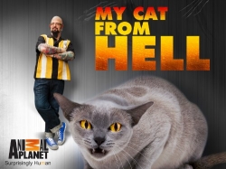 Watch My Cat from Hell Movies Online Free