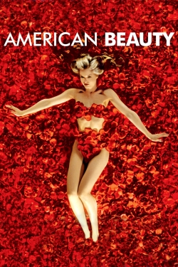 Watch American Beauty Movies Online Free