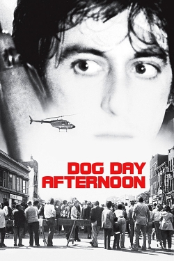 Watch Dog Day Afternoon Movies Online Free