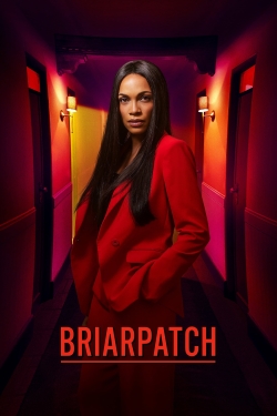 Watch Briarpatch Movies Online Free