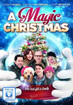 Watch A Magic Christmas Movies Online Free